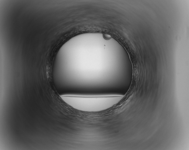 X0000092271490200709140855
