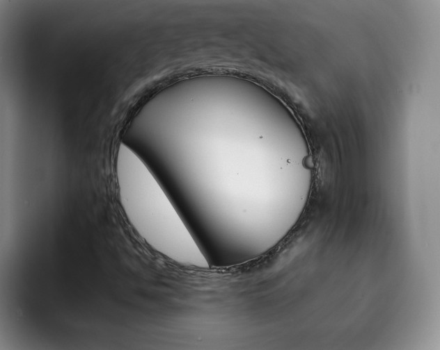 X0000092271494200709140855