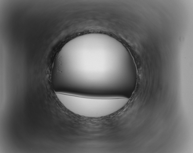 X0000092271495200709140855