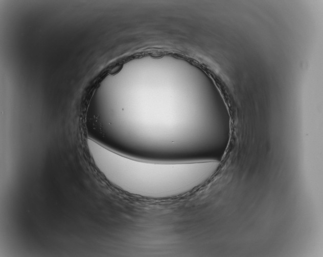 X0000092271496200709140855