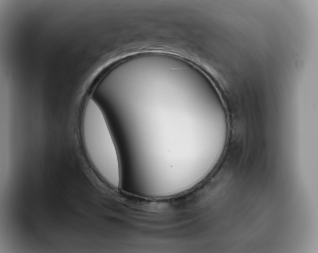 X0000092271503200709140855
