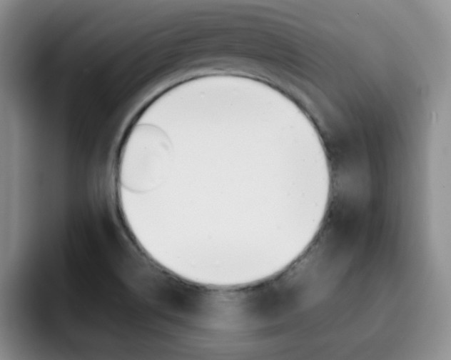 X0000092271514200709140855