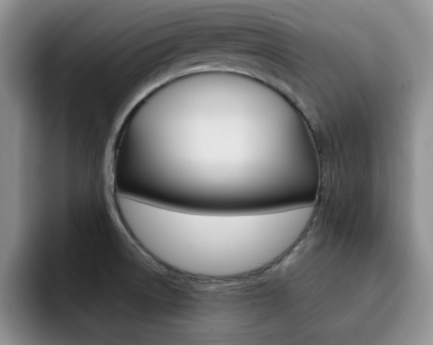 X0000092271522200709140855