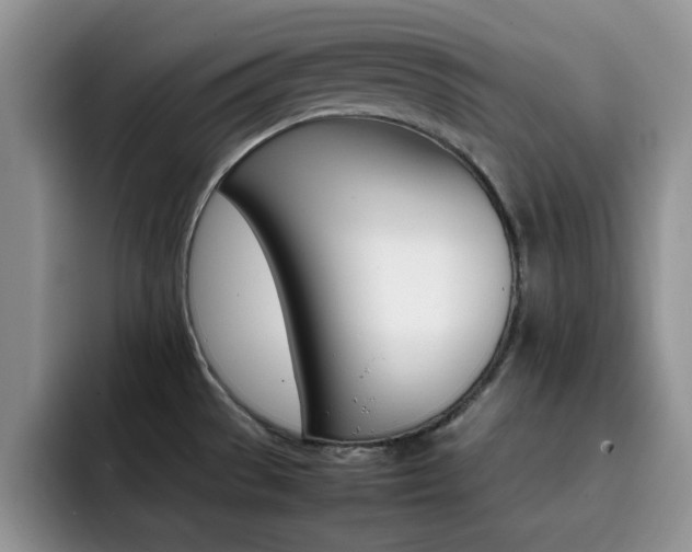 X0000092271529200709140855