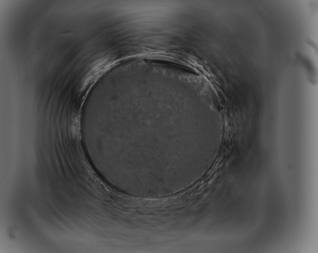 X0000092270002200709141211