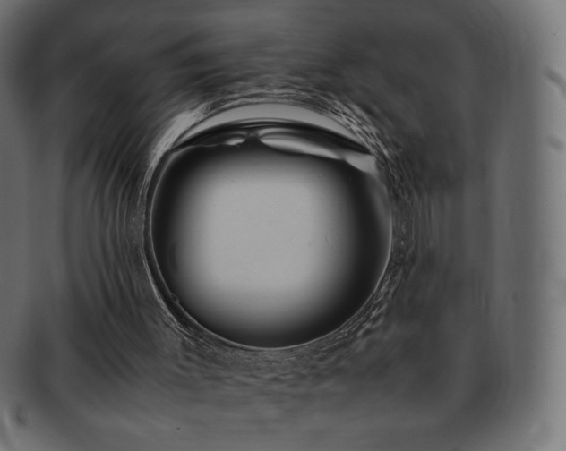 X0000092270003200709141211