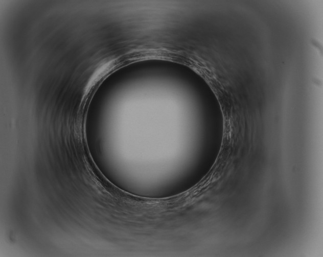 X0000092270004200709141211