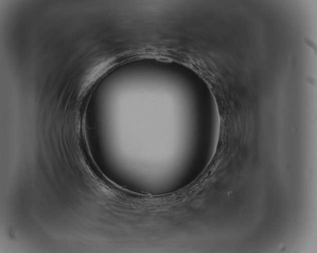 X0000092270005200709141211