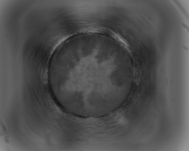 X0000092270012200709141210