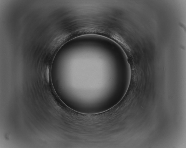X0000092270014200709141210