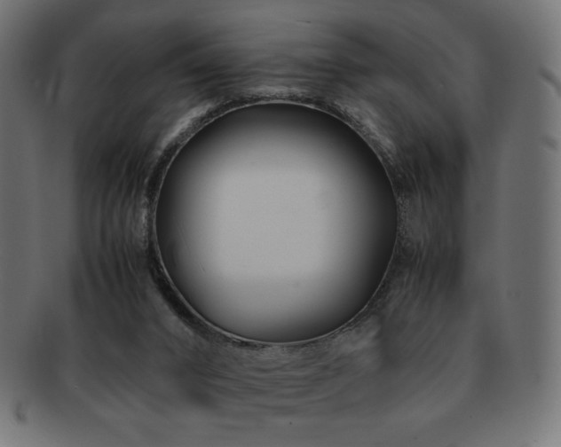 X0000092270016200709141210