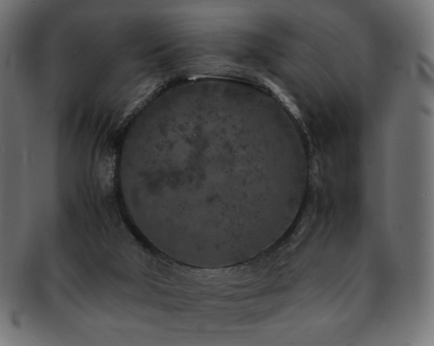 X0000092270018200709141210