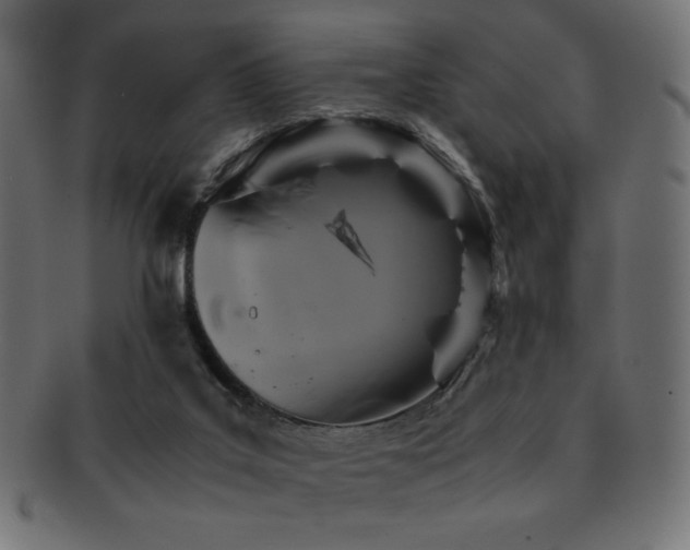 X0000092270019200709141210