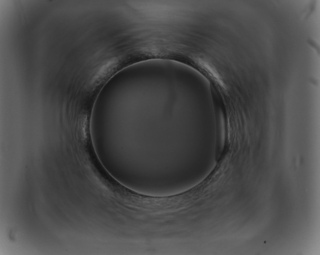 X0000092270023200709141210