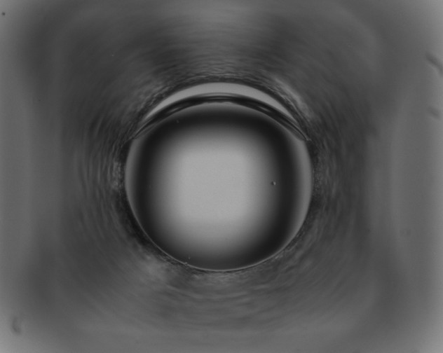 X0000092270025200709141210