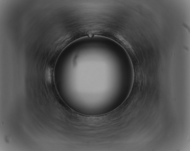 X0000092270026200709141210