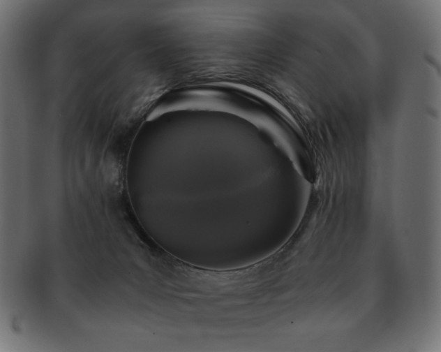 X0000092270031200709141210