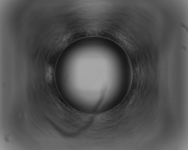 X0000092270038200709141210
