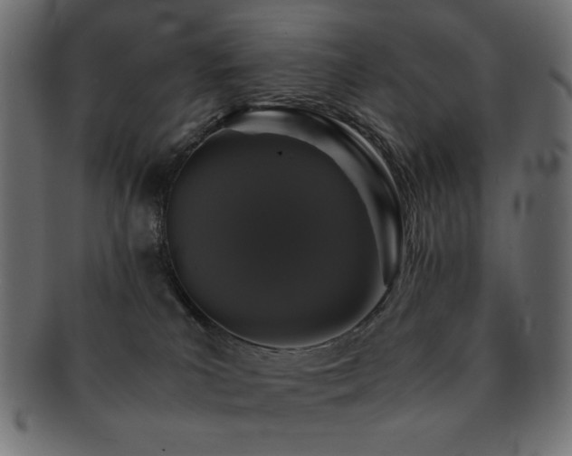 X0000092270039200709141210