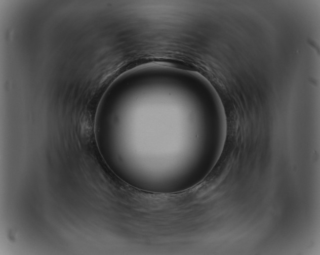 X0000092270040200709141210