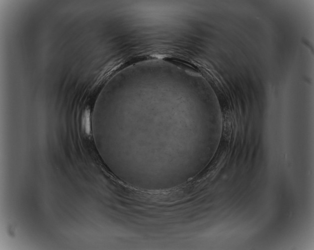 X0000092270046200709141210