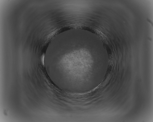 X0000092270047200709141210