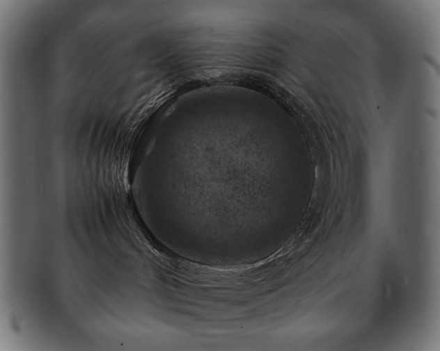 X0000092270048200709141210