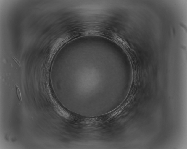 X0000092270049200709141209