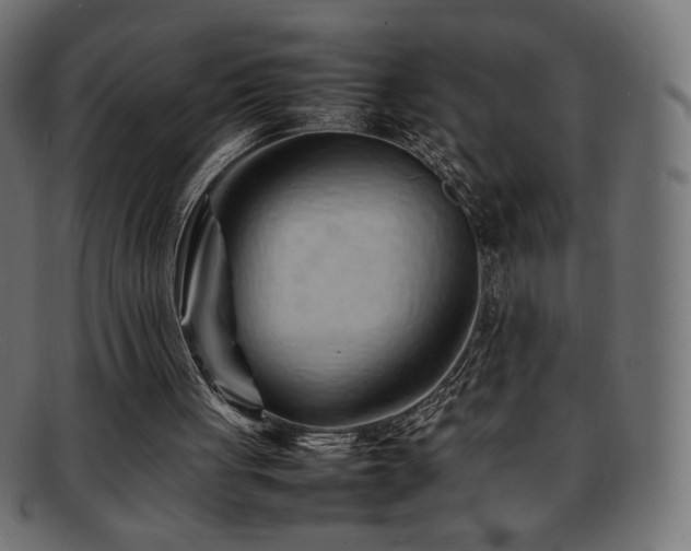 X0000092270051200709141209