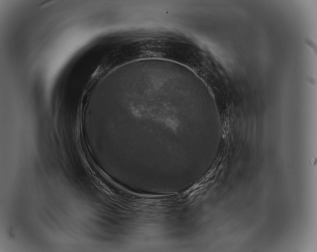 X0000092270052200709141209
