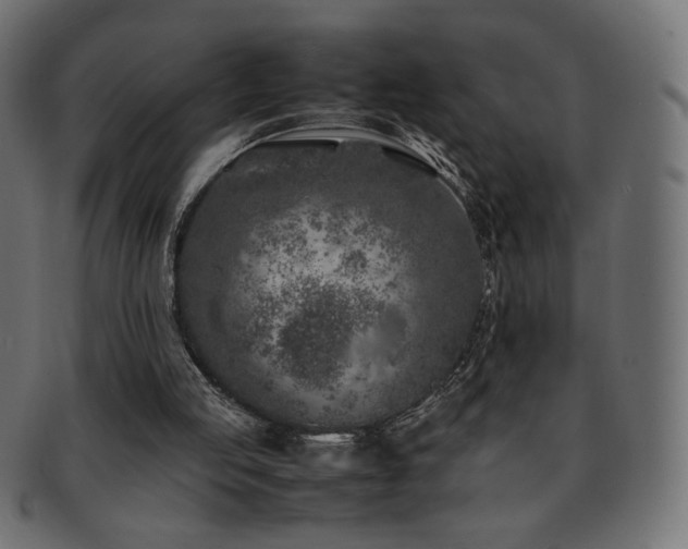 X0000092270053200709141209