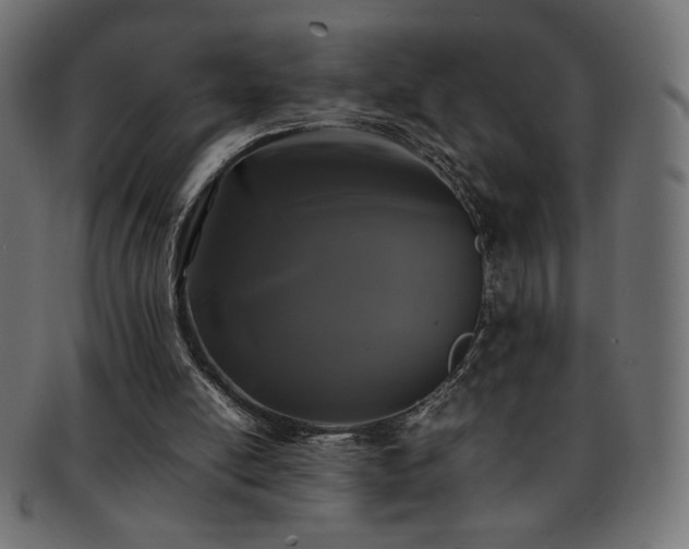 X0000092270054200709141209