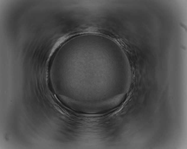 X0000092270056200709141209
