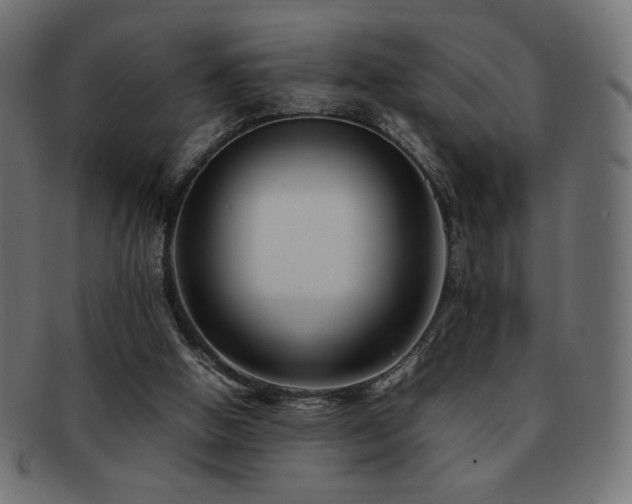 X0000092270058200709141209