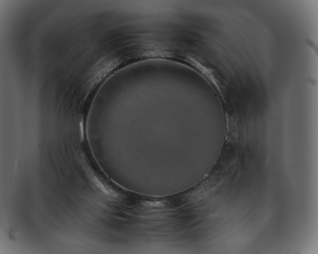 X0000092270061200709141209
