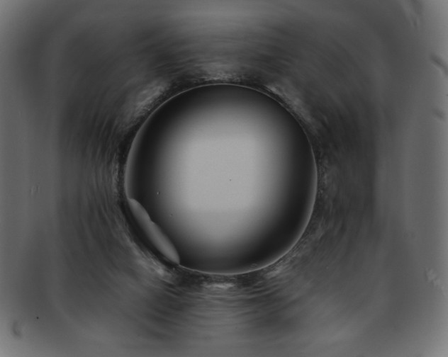 X0000092270066200709141209