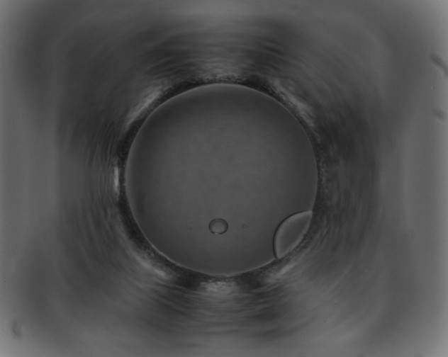 X0000092270067200709141209