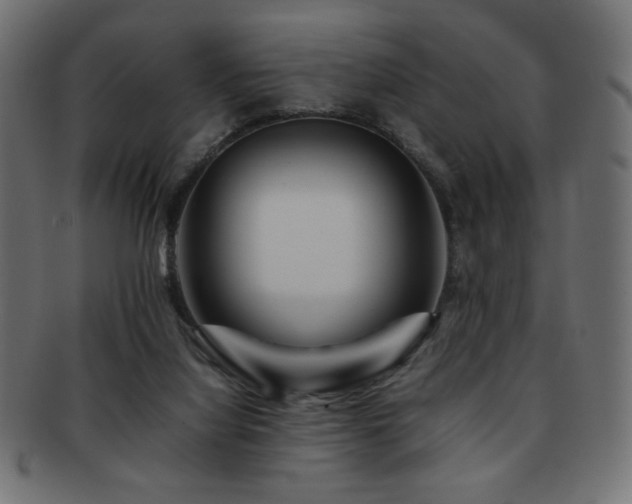 X0000092270068200709141209