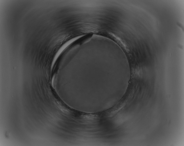 X0000092270069200709141209