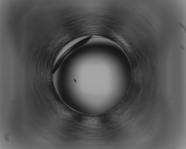 X0000092270073200709141210