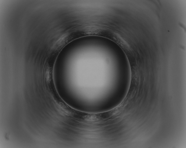 X0000092270074200709141210