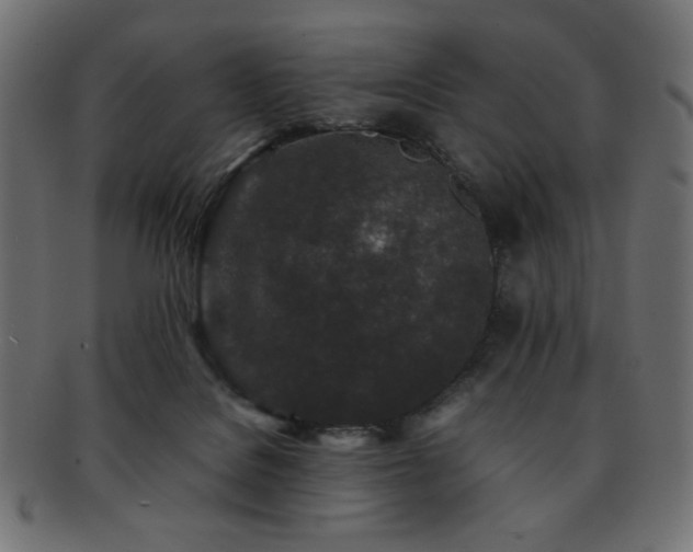 X0000092270076200709141210