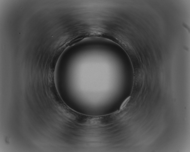 X0000092270078200709141210