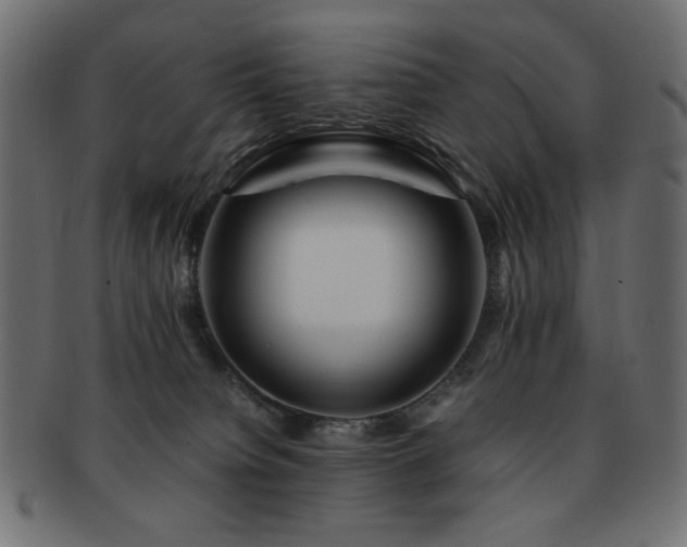 X0000092270084200709141210