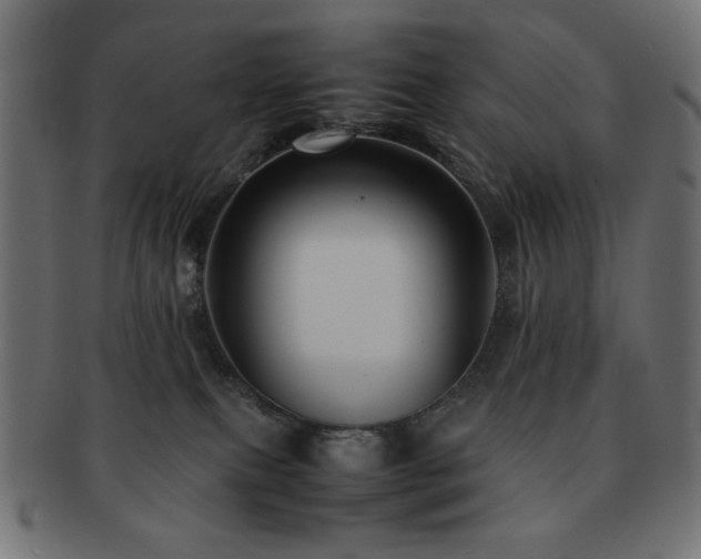 X0000092270087200709141210