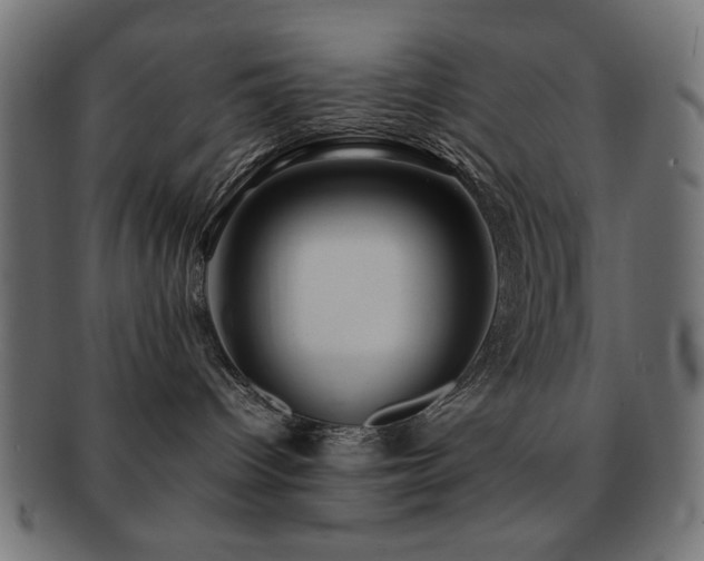 X0000092270096200709141210