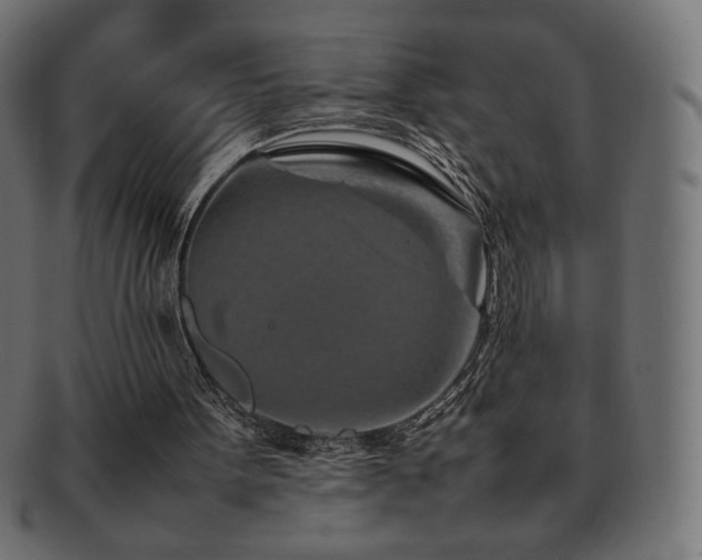 X0000092270099200709141209