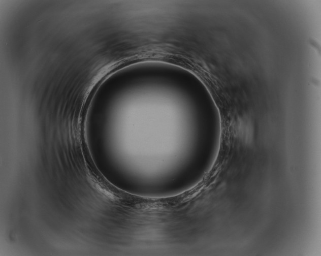 X0000092270100200709141209