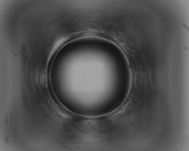 X0000092270102200709141209