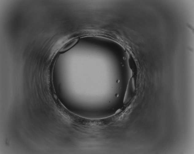 X0000092270103200709141209